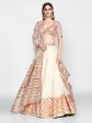 Abhinav Mishra  Poweder Blue And Pink, Orange Lehenga Set Online