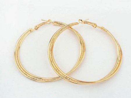 Pair of Brilliant Women s Fringed Round Ring Earrings For Cheap