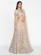 Abhinav Mishra Blush Lehenga Set Online Hot Sale