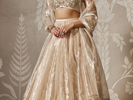 Zarish Lehenga Set Supply