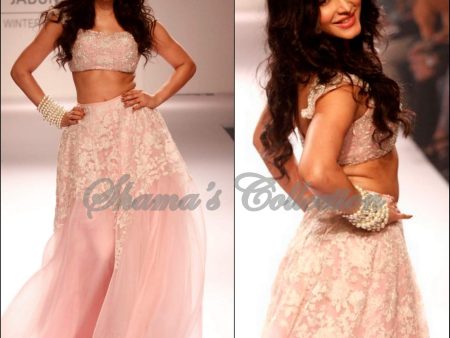 1076 Shruti Hasan s tea rose lehenga Outfit Sets Sale