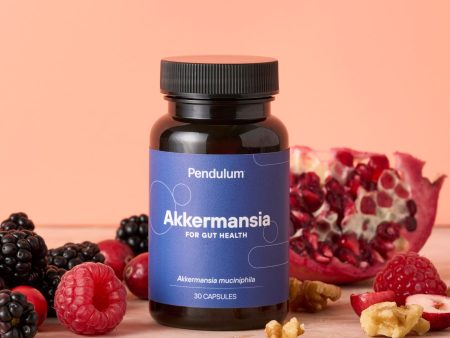 Pendulum Akkermansia Probiotic with Prebiotic Fiber for Gut Health For Cheap