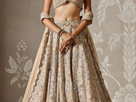 Ziva Lehenga Set Online Sale