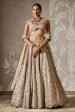 Ziva Lehenga Set Online Sale