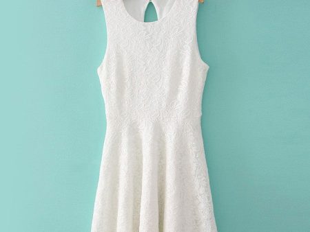 Elegant Solid Color Sleeveless Women s Lace Dress Online