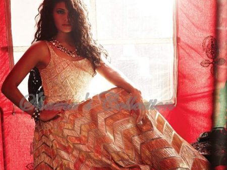 1057 Jacqueline Fernandez s silver-gold lehenga Outfit Sets on Sale