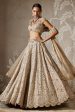 Ziva Lehenga Set Online Sale