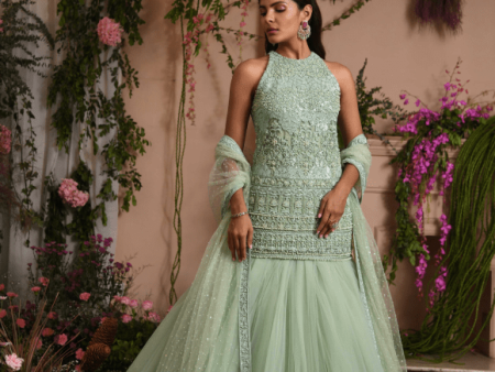 Renu Tandon Mint Green Lehenga Suit Set Fashion