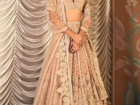 Sukhan Lehenga set For Cheap