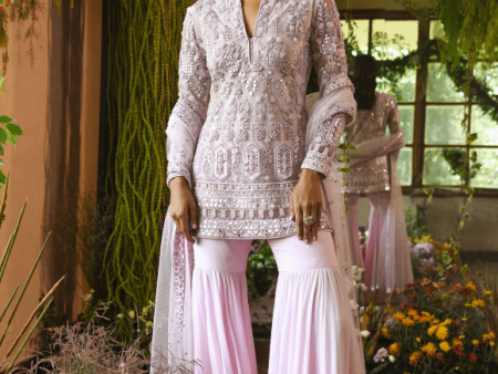 Renu Tandon Pink Short Sharara Suit Set Fashion