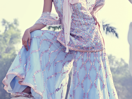 Blue Soft Net Sharara Set Online now