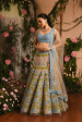 Renu Tandon Aqualehenga Set For Sale