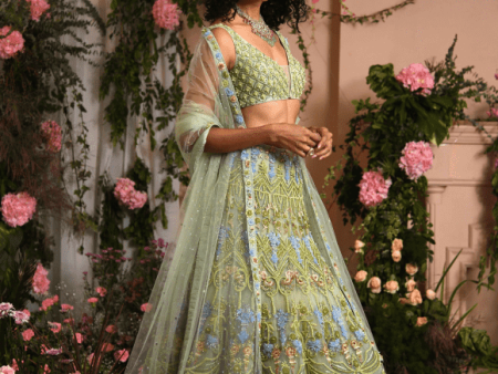 Renu Tandon Light Green Lehenga Set Supply