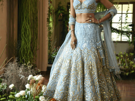 Renu Tandon Shaded Aqua Lehenga Set Online